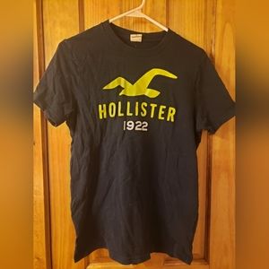 Hollister Graphic Tee-Dark Blue/yellow